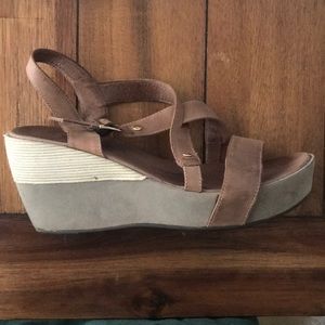 Antelope Collection Shoes